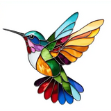 Gioiello colibrì colorato
